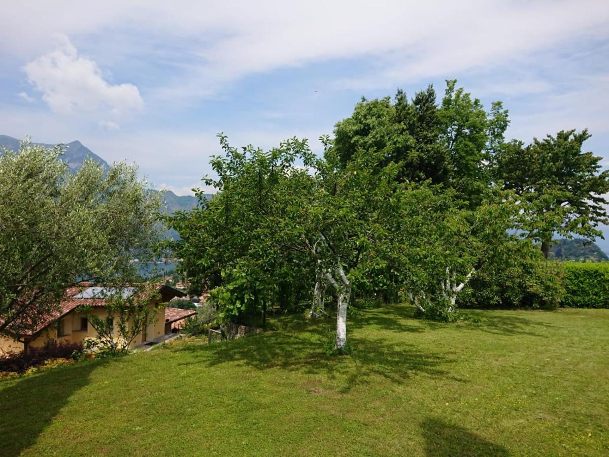 Villa Primula เบลลาโจ ภายนอก รูปภาพ