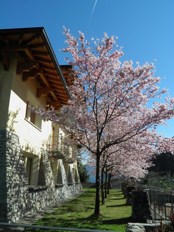 Villa Primula เบลลาโจ ห้อง รูปภาพ